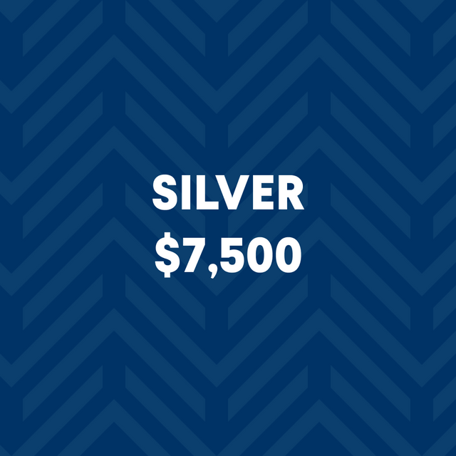 Silver Level Sponsorship